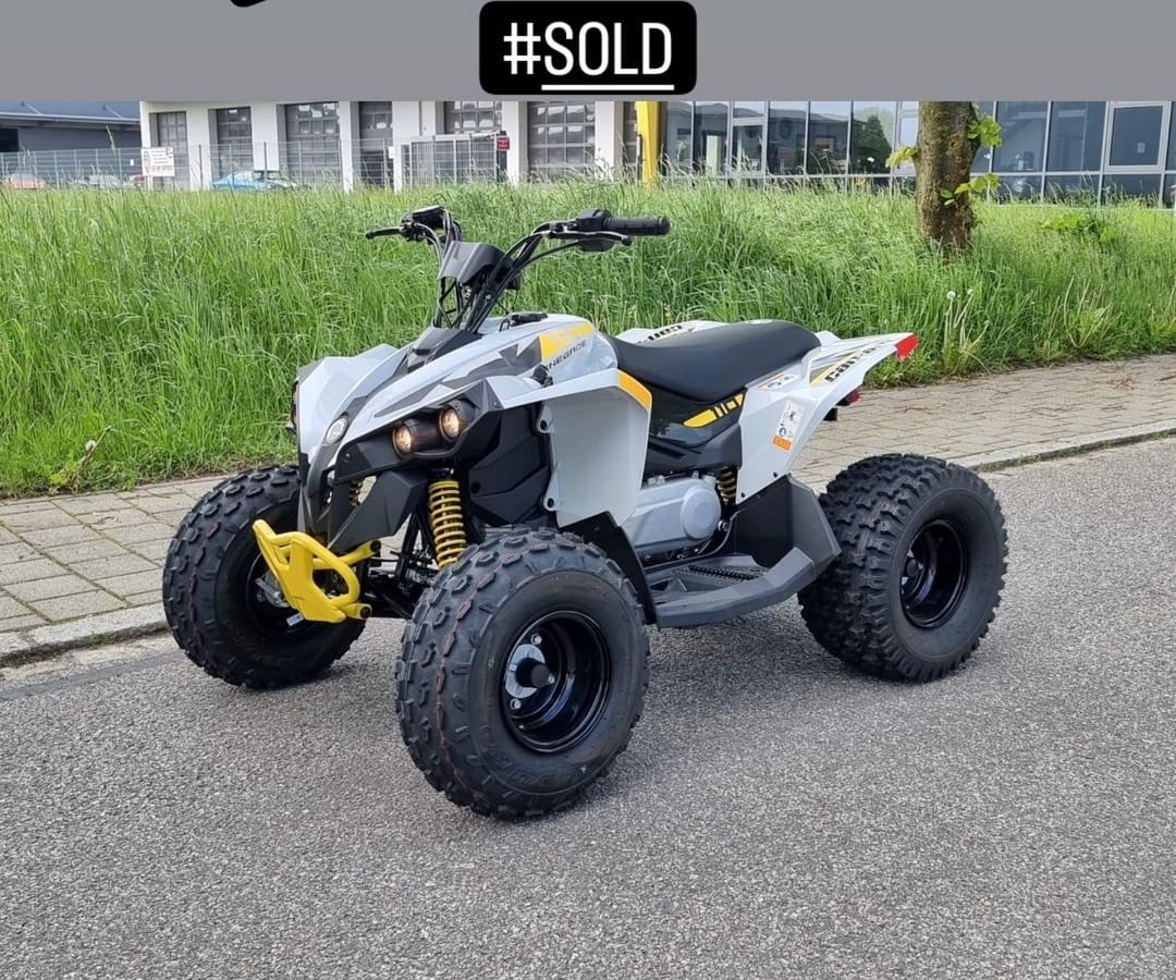 Renegade 110 EFI Kinder-Quad